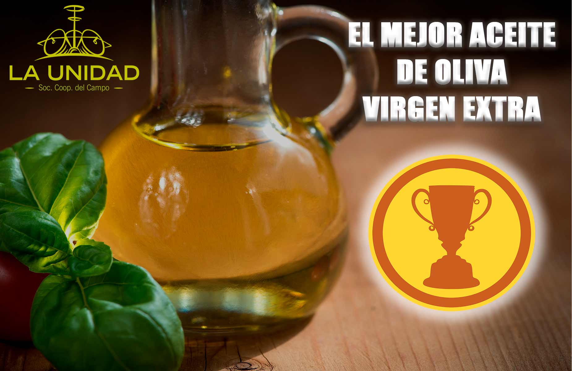 Mejor Aceite de Oliva Virgen Extra