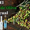 Aceite de Oliva Picual