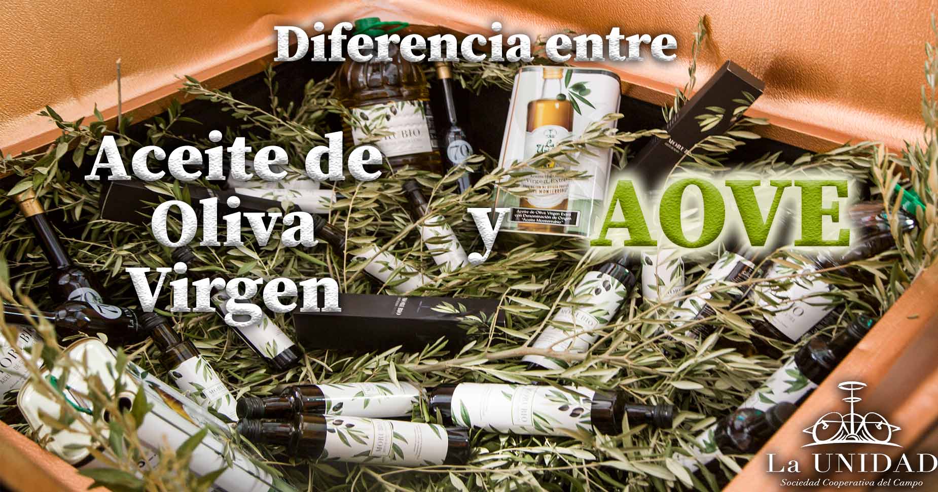 Diferencias-entre-aceite-de-oliva-virgen-y-aceite-de-oliva-virgen-extra