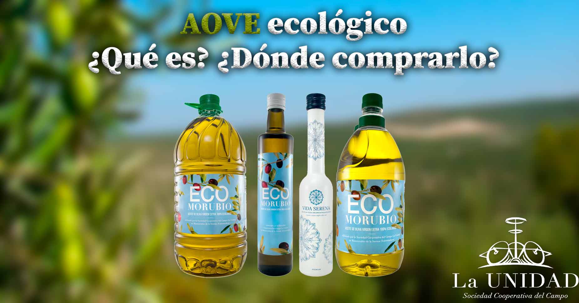 Que es el aceite de oliva ecologico