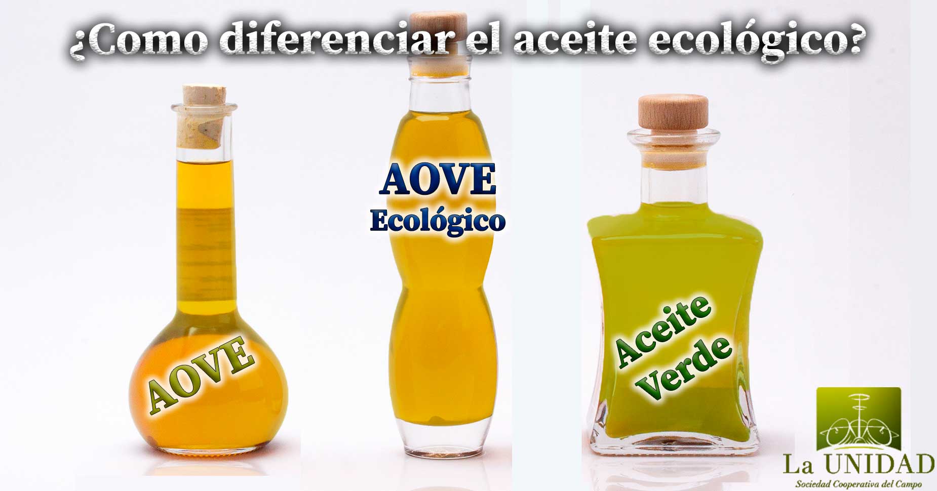 Como diferenciar aceite de oliva ecologico