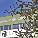 Comprar aceite de oliva Ecológico al mejor precio - Precio aceite de oliva ecológico