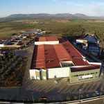 Comprar aceite de oliva Ecológico - El mejor Aceite de Oliva Virgen Extra Gourmet para sibaritas