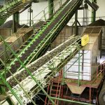 Produciendo aceite de oliva en almazara - Cintas transportadoras con aceitunas