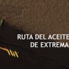 Ruta del Aceite de Oliva De Extremadura