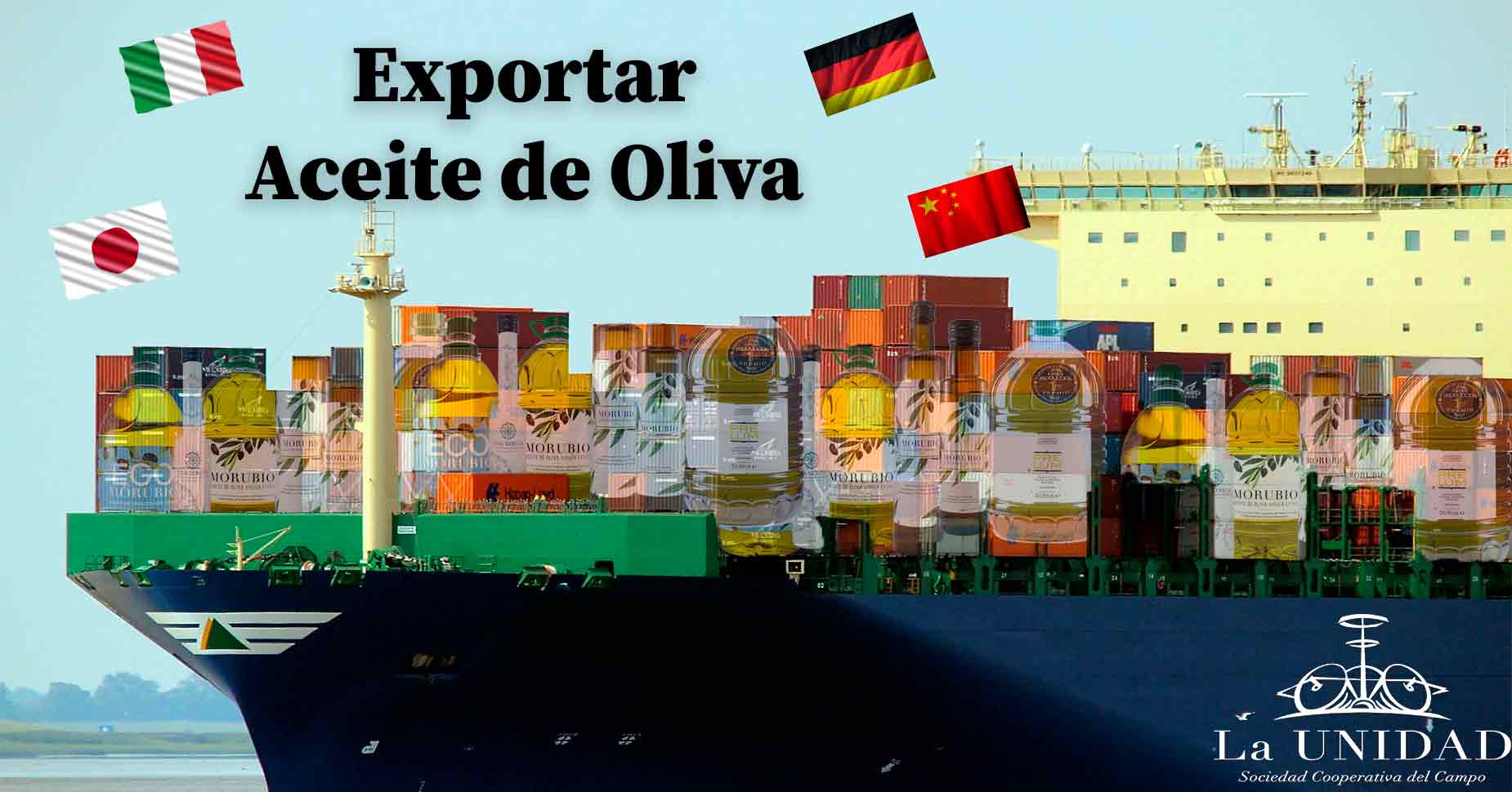 Exportar Aceite de Oliva