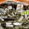 Diferencias-entre-aceite-de-oliva-virgen-y-aceite-de-oliva-virgen-extra