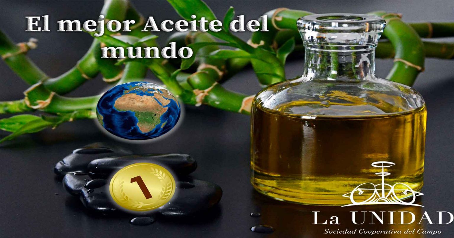 Cual Es El Mejor Caza Del Mundo