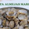 Receta almejas a la marinera